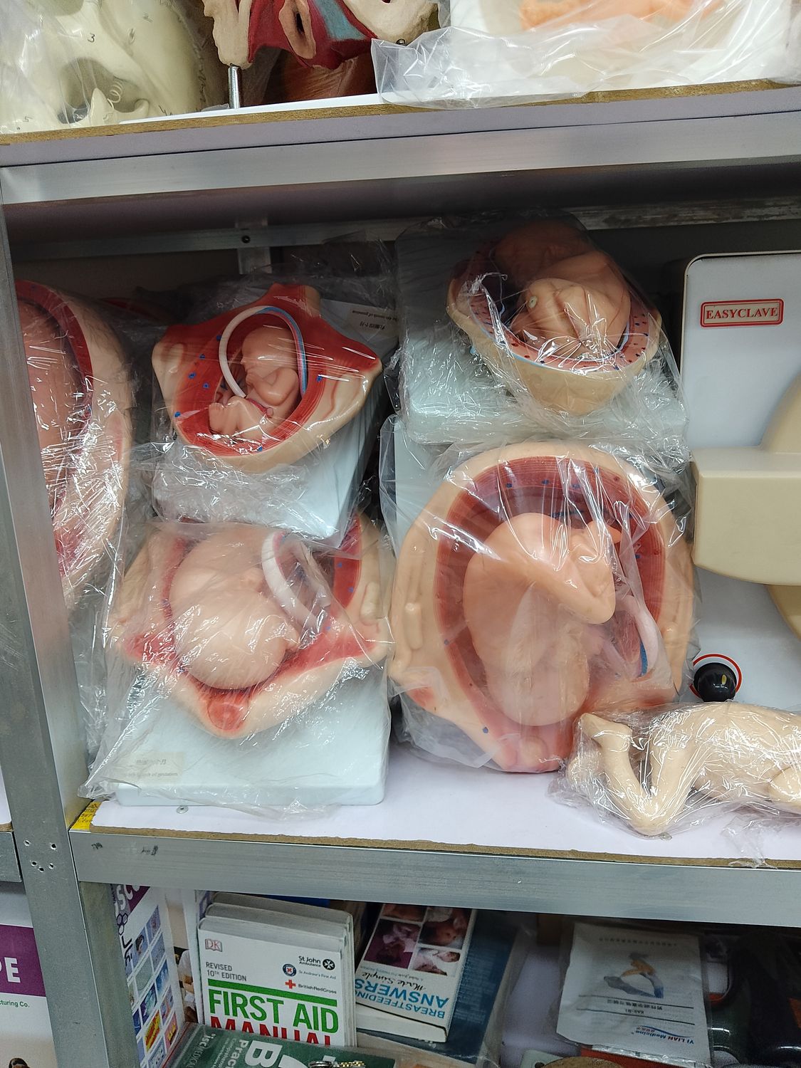 Obstetric and foetal teaching models